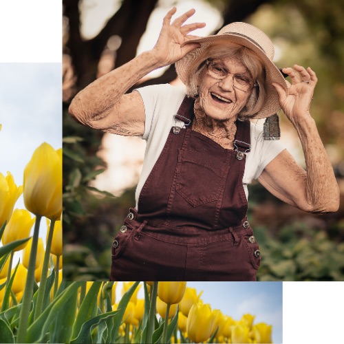Why Choose Golden Years Why choose Golden Years